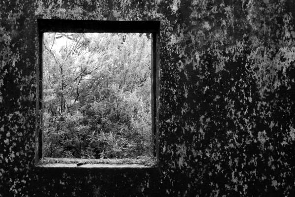 Photograph Arjun Mukerjee Wall on One Eyeland